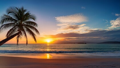 palm tree is on a beach with a beautiful sunset in the background