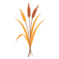 Golden ears of ripe wheat, a cereal grain, stand isolated against a white background, embodying the harvest of this vital agricultural crop