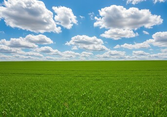 Obraz premium Vibrant field and clouds scenic view