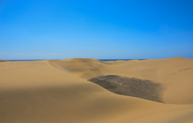 Expansive sandy desert landscape under a clear blue sky features gentle dunes and patches of dark...