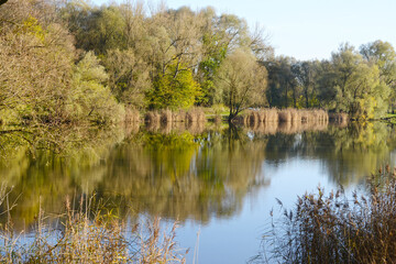 See, Teich, Wasserspiegelung