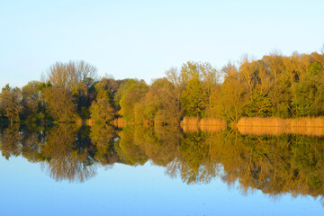 See, Teich, Wasserspiegelung