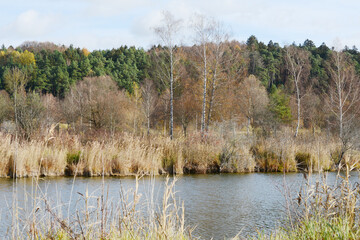 See, Teich, Biotop, Herbst