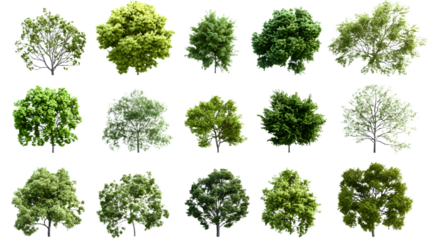 A set of trees rendered from a top view, 3D illustration, suitable for digital composition, illustration, 2D plans, and architecture visualization