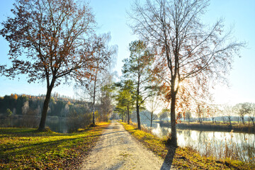 TSee, Teich, Wasserspiegelung