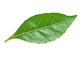 Obraz premium Sofa, light wood frame with rattan weaving and gray cushions on a transparent background 