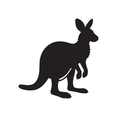 kangaroo vector illustration