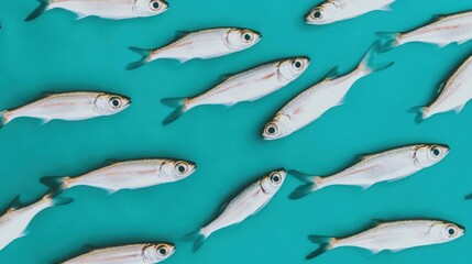 Fresh fish arranged aesthetically on a vibrant turquoise background, perfect for culinary blogs, seafood restaurant promotions, or health and nutrition content,