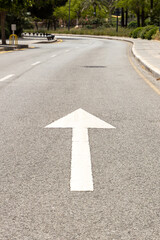 Road with clear directional arrow guiding travelers along a sunny pathway, surrounded by lush...