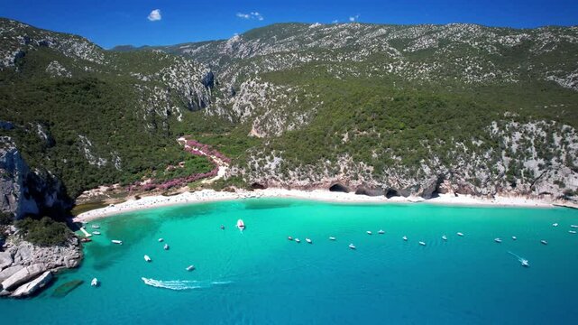 Italy, Best and most beautiful beaches of Sardegna island -  Cala Luna in gulf of Orosei . Aerial  drone view of white sandy beach , caves and turquoise sea. high angle 4khd video