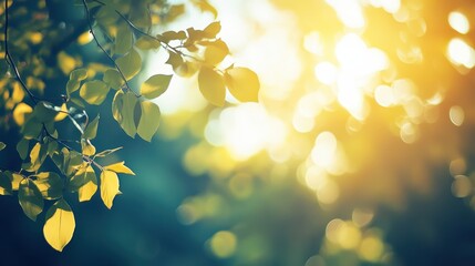 Obraz premium Sunlight shining through green leaves in nature