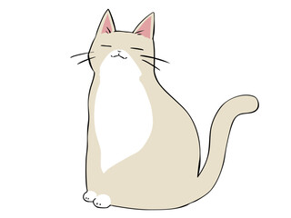 クリーム猫 座る