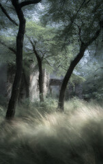 Fototapeta premium abandoned ruins in forest with soft blur and dramatic light, overgrown grass and stone walls in atmospheric scene, nature reclaiming space with moody shadows and surreal soft focus photography