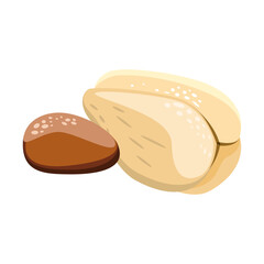 Peeled salak is snake fruit and pit vector illustration 