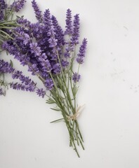 Fototapeta premium Lavender blossoms arranged on white background, rustic style, field, decoration, header
