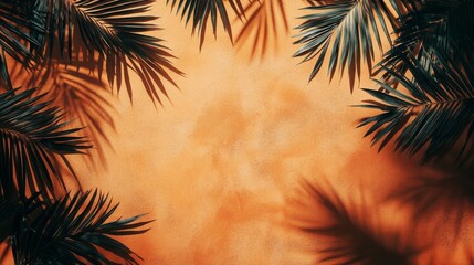 Palm Leaves Shadows on Orange Sand Background