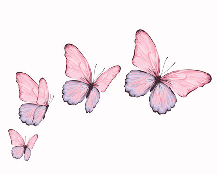 pink butterfly leopard design