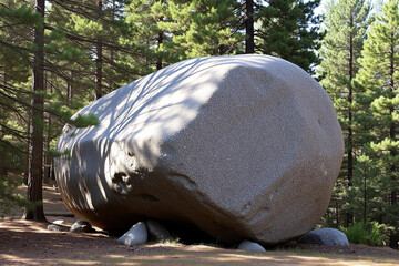 A massive granite boulder nestled among evergreen trees in a sun-dappled forest clearing