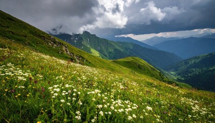 Grassy hillside under stormy sky with wind-blown wildflowers