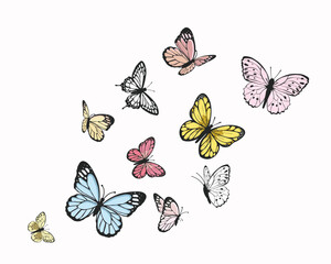colorful butterfly. hand drawn design