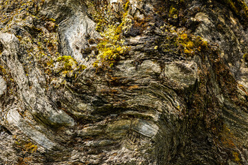 Textured surface of massive stone with moss and lichen