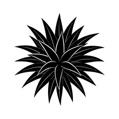 bromeliad with spiky leaves silhouette vector