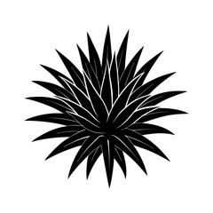 bromeliad with spiky leaves silhouette vector