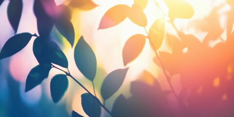 abstract background with soft shadows of leaves on white surface, natural light, minimalistic composition, calming tones, harmonious design, professional look, modern aesthetic