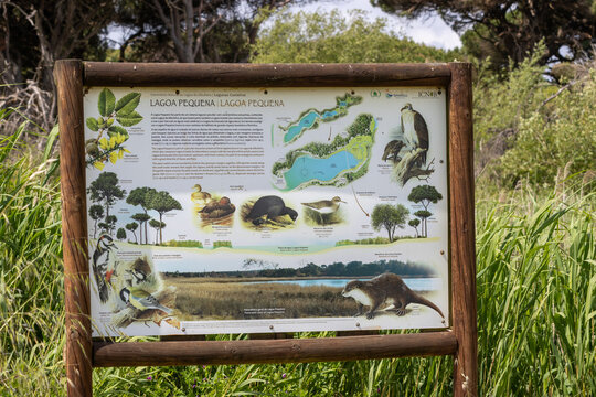 Lagoa pequena interpretive space sign showing local flora and fauna in sesimbra, portugal