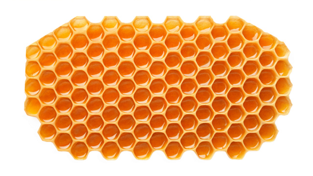 Close up of a honeycomb filled with honey on black background