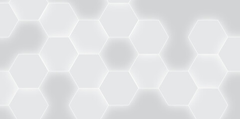 Fototapeta premium Abstract White Hexagon Technology Background. Abstract White Hexagon Medical Background. 