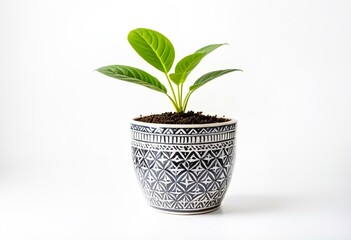 Fototapeta premium A white planter with a green plant in it.