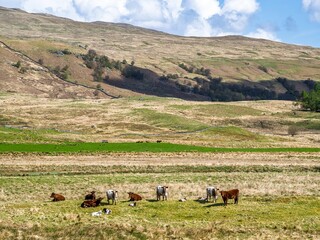 Farms and Mountains over River Dochart, Road A85, Perthshire, Scotland, UK