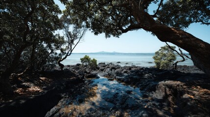 Fototapeta premium Scenic coastal view framed by lush trees.