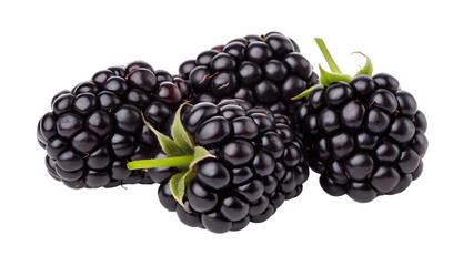 Cluster of blackberries with green stems