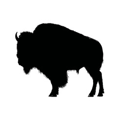 Solid black silhouette of a buffalo standing