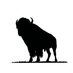 Solid black silhouette of a buffalo standing