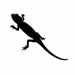 Solid black silhouette of a chameleon camouflaged