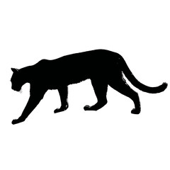 Solid black silhouette of a cougar stalking