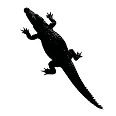 Solid black silhouette of a crocodile swimming
