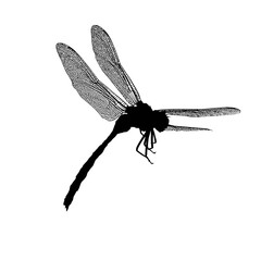 Solid black silhouette of a dragonfly hovering