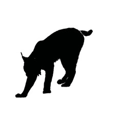 Solid black silhouette of a lynx stalking