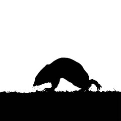 Solid black silhouette of a mole digging