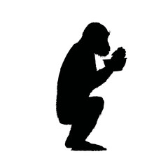 Solid black silhouette of a monkey eating