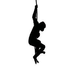 Solid black silhouette of a monkey swinging