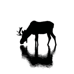 Solid black silhouette of a moose drinking