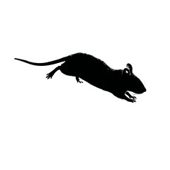 Solid black silhouette of a mouse scurrying