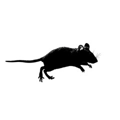 Solid black silhouette of a mouse scurrying