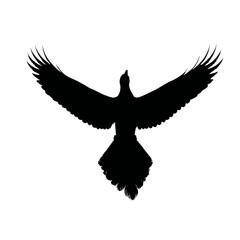 Solid black silhouette of a phoenix soaring