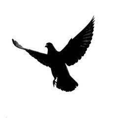 Solid black silhouette of a pigeon flying